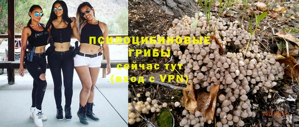 каннабис Алексеевка