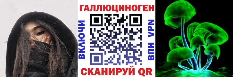 как найти Опочка Галлюциногенные грибы GOLDEN TEACHER